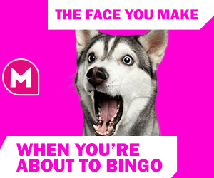 bingo meme - The face you make when you’re about to bingo!