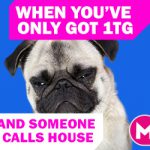 bingo meme - When you’ve got 1TG and someone calls house