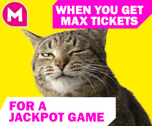 Bingo meme - When you get max tickets for a jackpot game