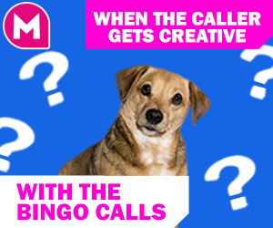 bingo meme -When your host gets creative with the calls