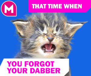 bingo meme - That time when you forgot your dabber