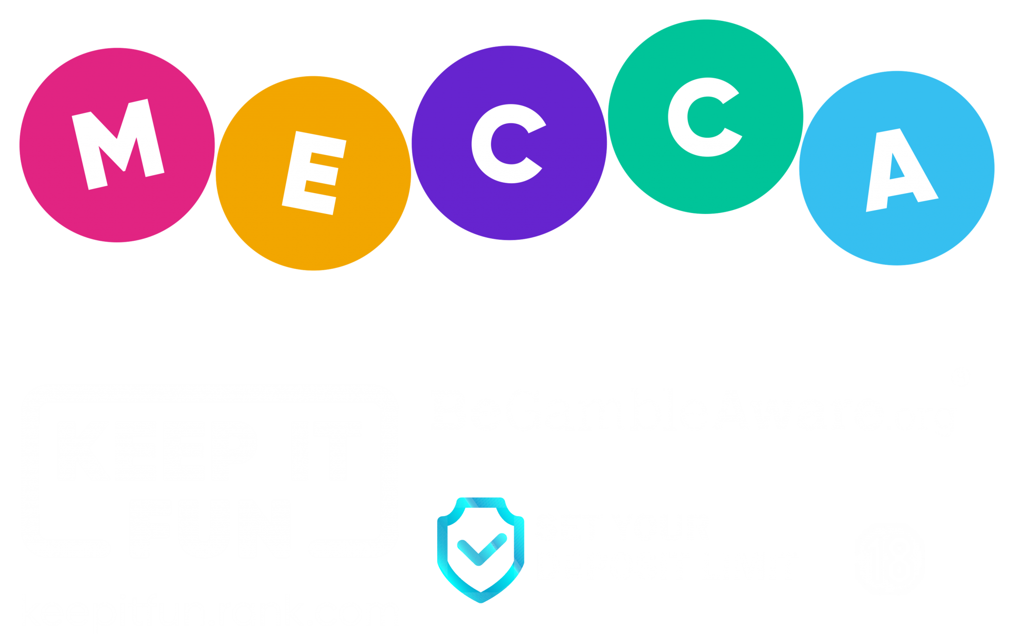 bingo caller pro license