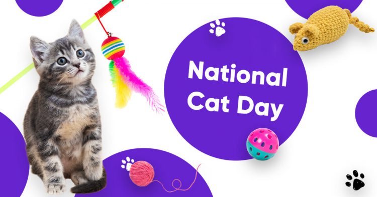 It’s National Cat Day on 29.10 | Read More on Mecca Bingo